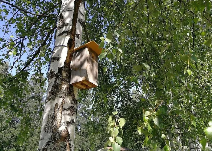 公寓 Old Village School