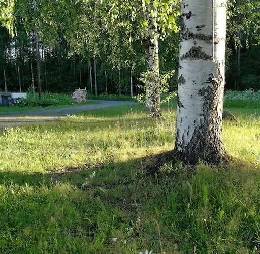 Old Village School * Kolkontaipale