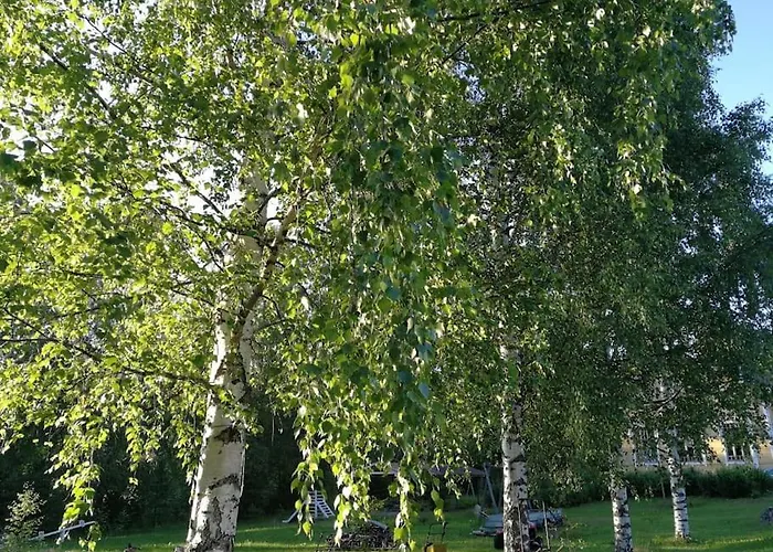 Old Village School * Kolkontaipale